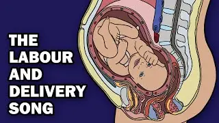 THE LABOR AND DELIVERY SONG