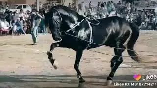 multani tora danc