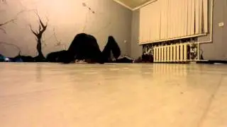 Триксы 1