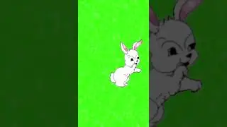 Green screen animation animal