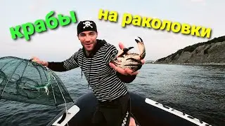 КРАБЫ НА КИТАЙСКИЕ РАКОЛОВКИ.