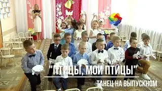 "Птицы, мои птицы"
