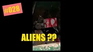 The Best Memes on the Internet!! #028