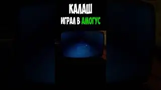 Калаш играл в амогус