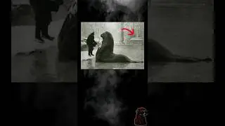 Fotografías históricas que tienes que ver prt138
