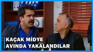 Hüseyin ve Şükrü, Kaçak Midye Avından Tutuklandı! - Çocuklar Duymasın 23.Bölüm