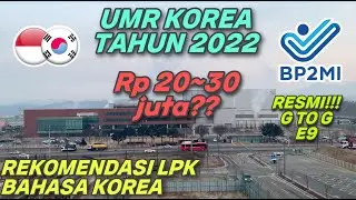 GAJI TKI KOREA TAHUN 2022 NAIK DRASTIS | CPMI KOREA WAJIB NONTON INI SEBELUM KE KOREA