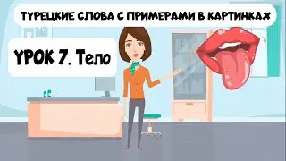 Turkish words in pictures with examples. Lesson 7. Body parts