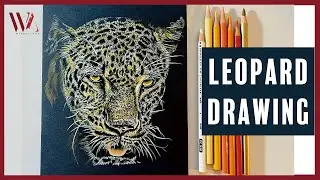 How to Draw a Leopard on Black Paper- Windy Shih
