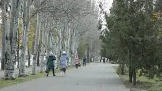 COVID-19: у Мелітополі 21 смерть за добу