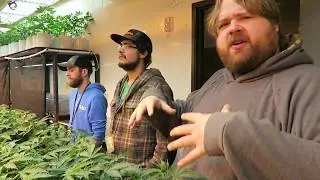 A Tour of Dr. Jolly's INDOOR CANNABIS FACILITY
