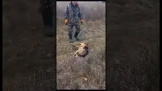 Лезги прикол голосовой.киц|😁