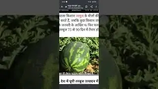 fasal garmi ki