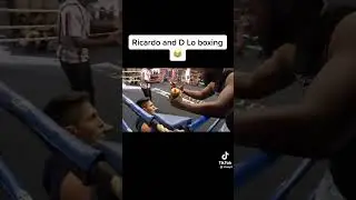 Boxing highlights and knockout