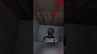 I Hit A TRICKSHOT On Grandma.. 