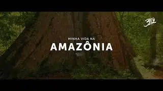 Minha Vida na Amazônia - CURA