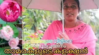 50 Varieties of LOTUS-Pravitha calicut