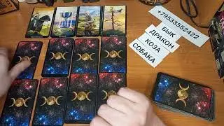 КИТАЙСКИЙ ГОРОСКОП НА 2023 ГОД: БЫК, ДРАКОН, КОЗА, СОБАКА.