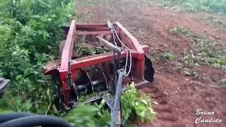Preparo para pastegem