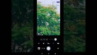 Sony Xperia telephoto 300mm zooming capacity | Sony | alpha | video #blog #myfirstvlog #sony #shorts