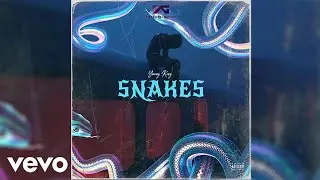 Young King - Snakes (Official Audio)