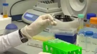 Введение в биоинформатику. Знакомство с лабораторией. СПбГУ. Часть 2