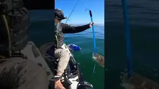 All in a day’s work on the kayak😤
