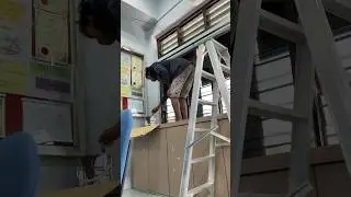 cat frame tingkap #shortsvideo #paint