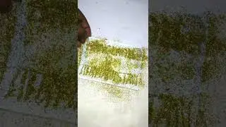 Bangladesh vs Afghanistan||3 sep asiacup||Kandy#viral #cricket