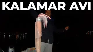 GECE DEV KALAMARLAR YAKALADIK - Tekneyle Kalamar Avı Vlog - 27