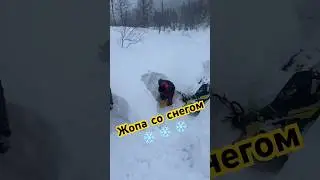 В приисковом снежный коллапс😜 