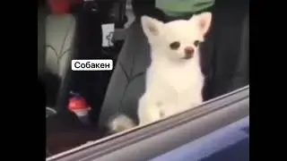 Два типа людей по утрам 😁😁😁