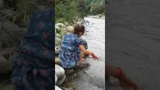 Дарьеи исфара
