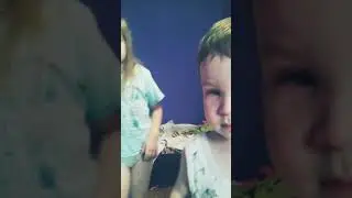 Домик для кота своими руками. Самый ПРОСТОЙ вариант. Лайфхак для кота