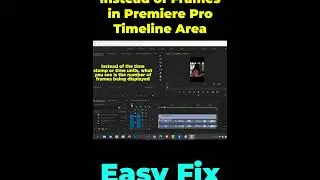 Show Time not Frames in Premiere Pro