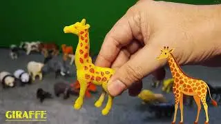 Fun Animal Rhymes for Kids! 🐯🦁🐼 Learn Animal Names with Toys, Pictures & Videos