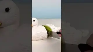 ТОРТЫ