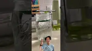 "Explosive" Experiment on Water Fireworks! #STEMwithGU #science #scienceexperiment