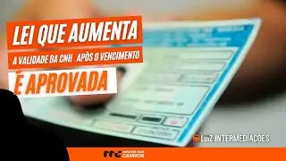 MESTRE DOS CARROS  | Lei que aumenta a validade da CNH após o vencimento é aprovada