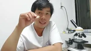 Simbolo ng Pera na Napakaliit #lexblags #underthemicroscope #microscope #viral #perahu #money