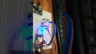 simple circuit 4 led blinking with esp32