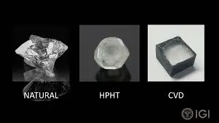 WHAT ARE LAB GROWN DIAMONDS? | DIFFERENCE BETWEEN HPHT AND CVD DIAMONDS | LEARN WITH IGI