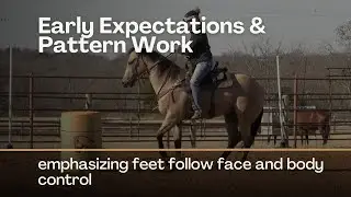 Early Pattern Work on a Young Barrel Horse with emphasis on feet follow face and body control