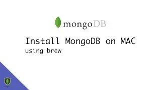 Install MongoDB on Mac using brew.
