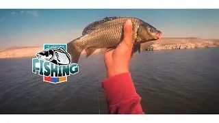 Рыбалка на сазана.Carp fishing 15 .08. 2021