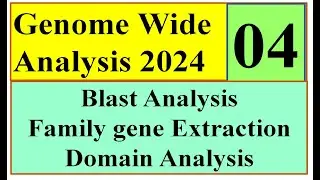 Blast analysis and Domain confirmation Genome wide study 2024 Part 04