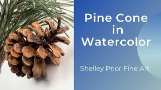 Pine Cone in Watercolor