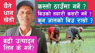 Chaite dhan kheti kasari garne || chaite dhan ko biu rakhne tarika || चैते धान खेती