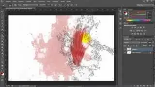 Adobe Photoshop CS6: Brushes