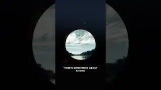 Bloomzz - Theres Something About You
